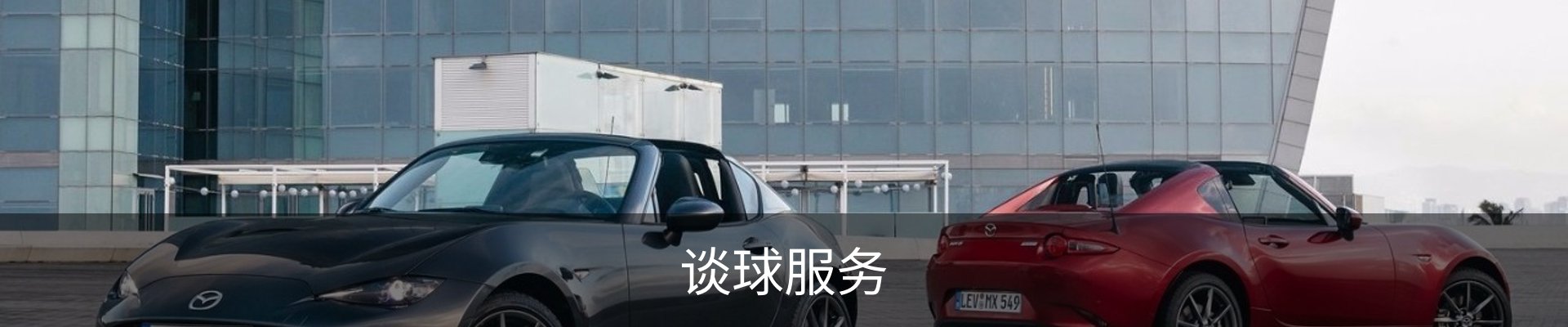 谈球服务